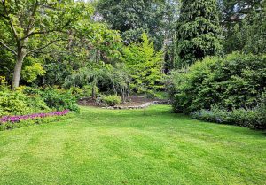 Optimiser l'expérience du jardin à Quiers-sur-Bezonde